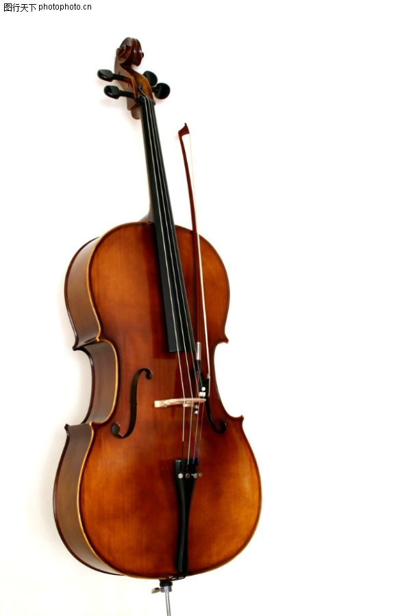 小提琴图、综合图片,,