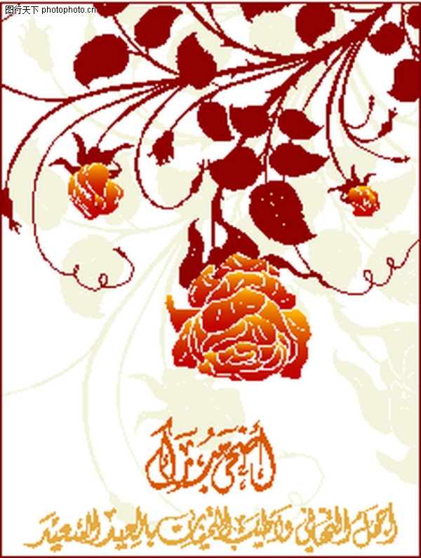 包装图片-包装设计图 月季花 橙色花朵 维吾尔